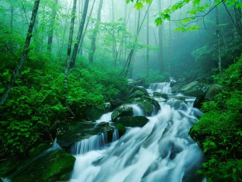 幻想纹章2.0